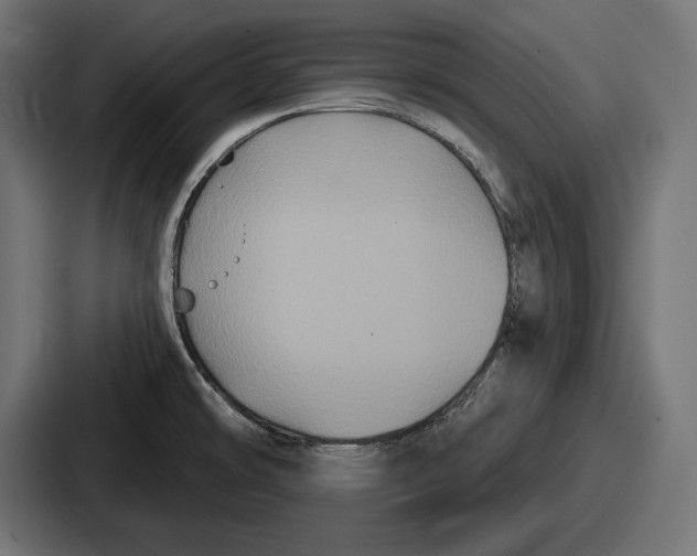 X0000086731478200705111605