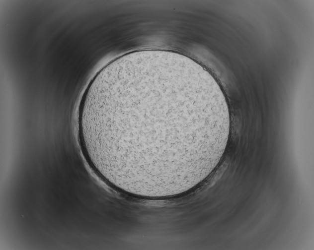X0000086731479200705111605