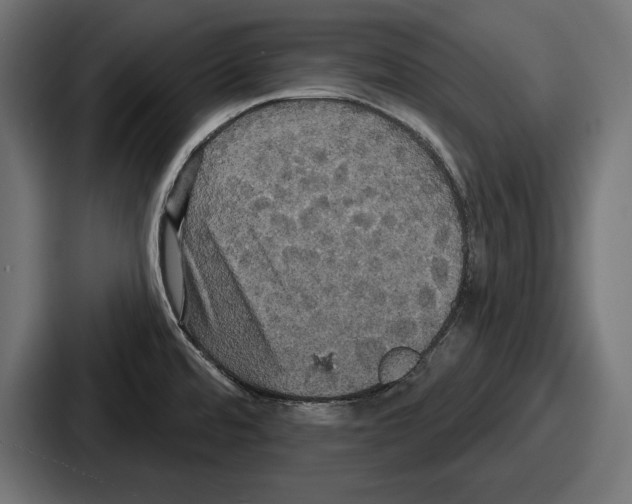 X0000086731480200705111605