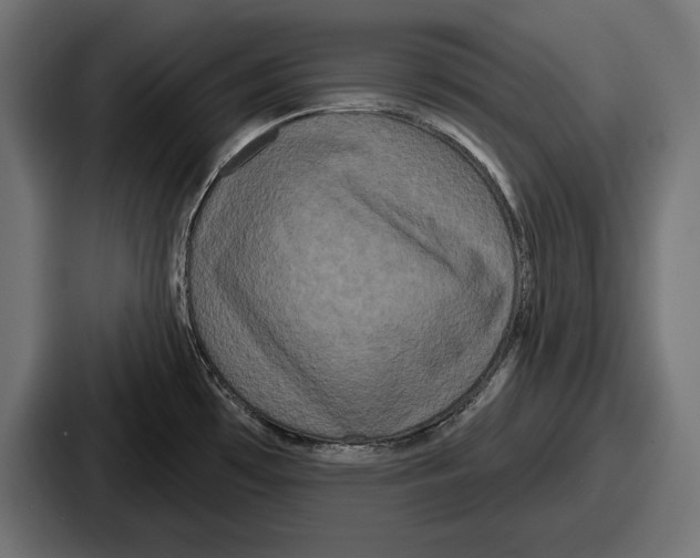 X0000086731481200705111605