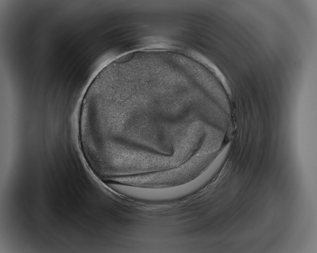 X0000086731483200705111605