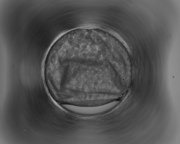 X0000086731484200705111605