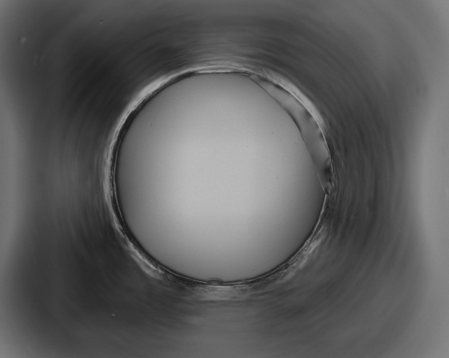X0000086731485200705111605