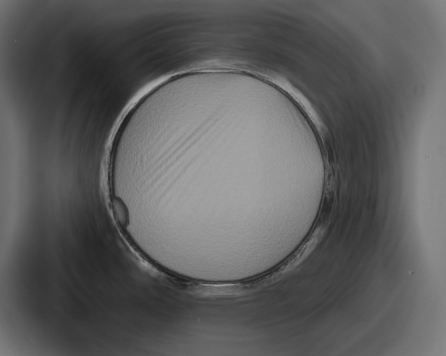 X0000086731486200705111605