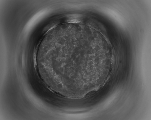 X0000086731487200705111605