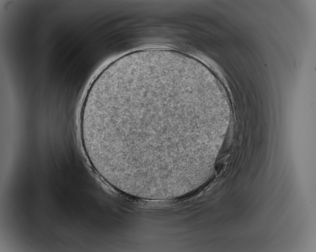 X0000086731488200705111605