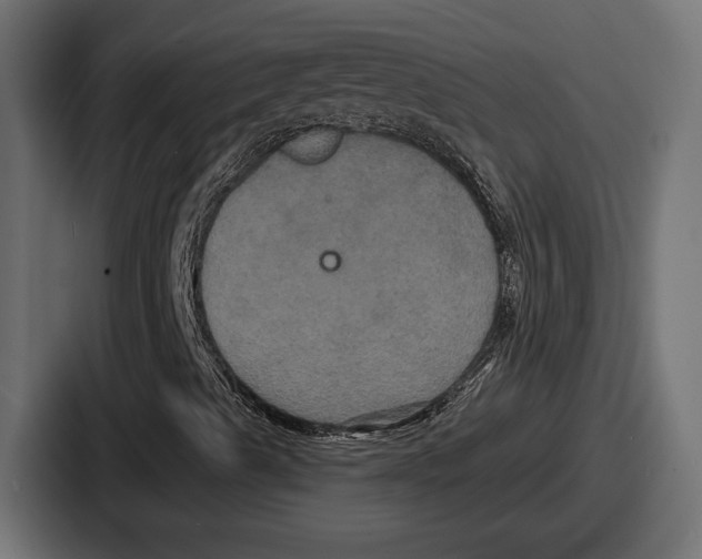 X0000086731489200705111604