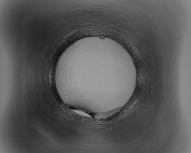 X0000086731490200705111604
