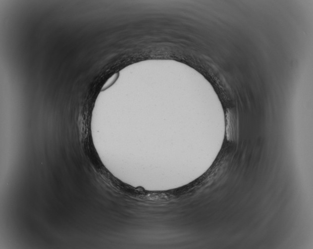 X0000086731491200705111604