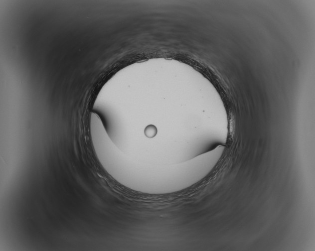 X0000086731492200705111604