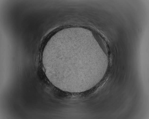 X0000086731494200705111604