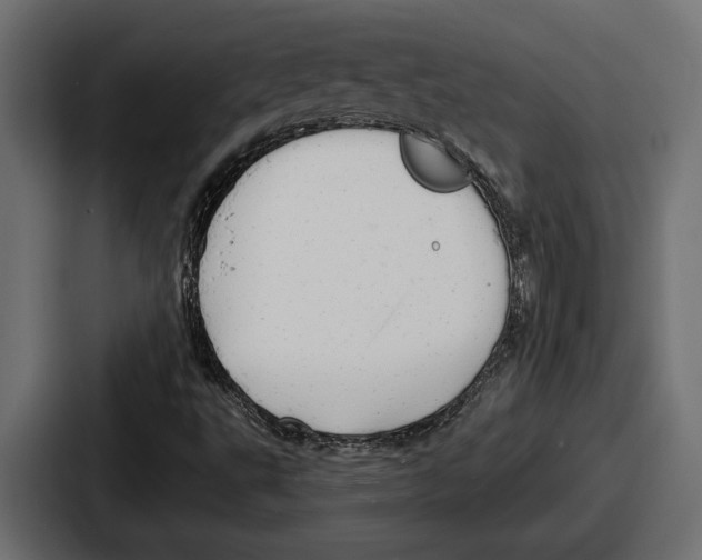 X0000086731495200705111604