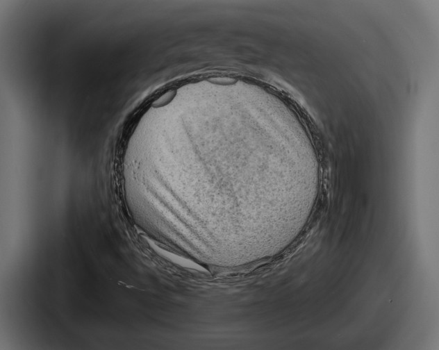 X0000086731496200705111604