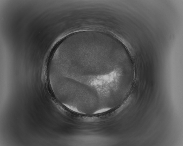 X0000086731498200705111604