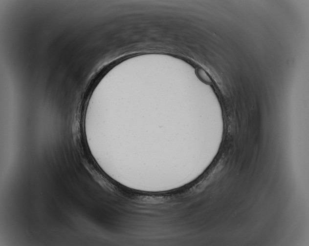 X0000086731499200705111604