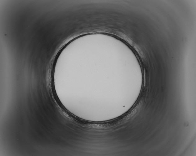 X0000086731500200705111604