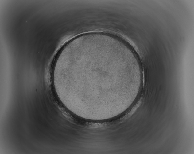 X0000086731501200705111604