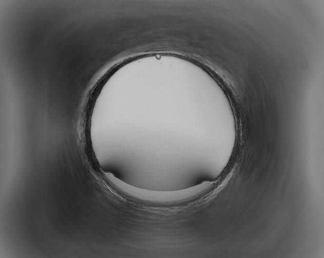 X0000086731502200705111604