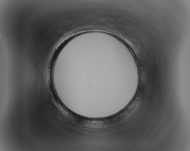 X0000086731503200705111604