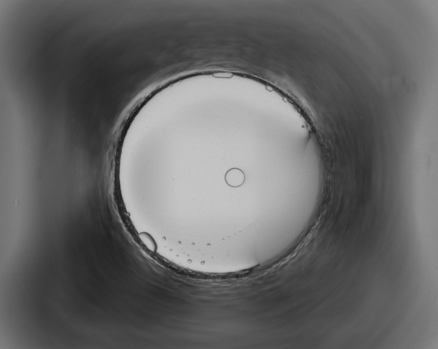 X0000086731504200705111604