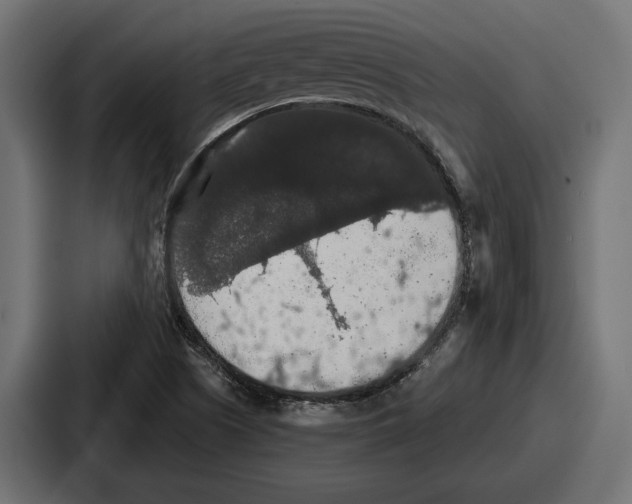 X0000086731505200705111604