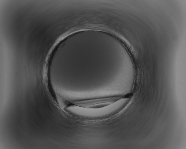 X0000086731506200705111604
