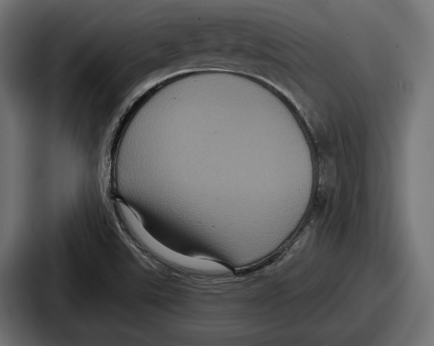 X0000086731507200705111604