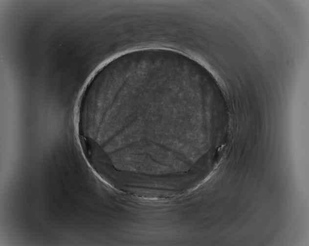 X0000086731508200705111604