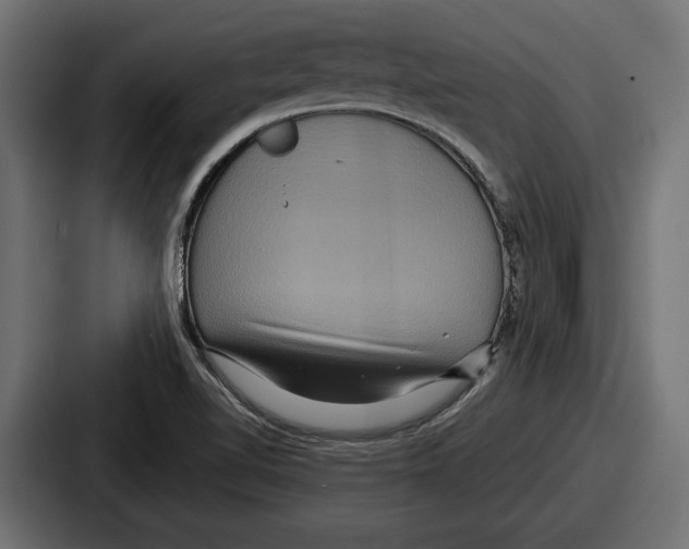 X0000086731510200705111604