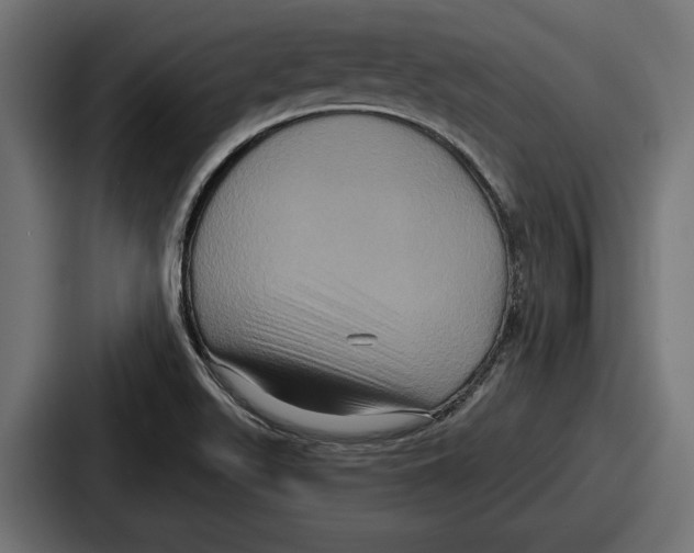 X0000086731511200705111604