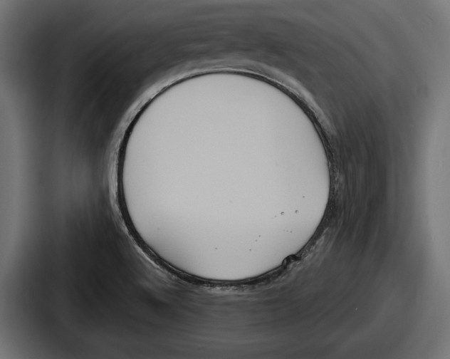 X0000086731512200705111604