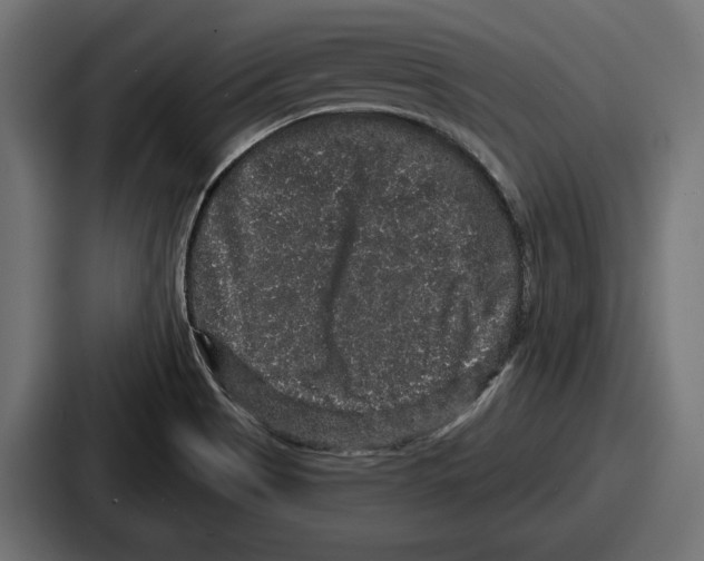 X0000086731513200705111604