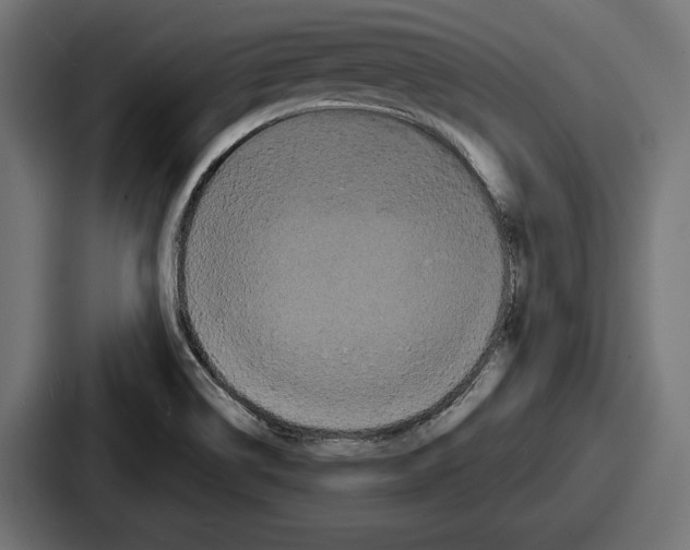 X0000086731514200705111604