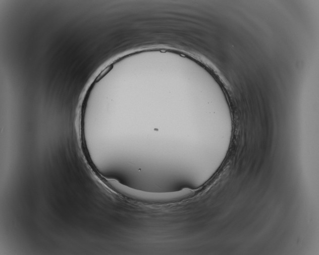 X0000086731516200705111604