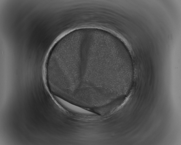 X0000086731517200705111604