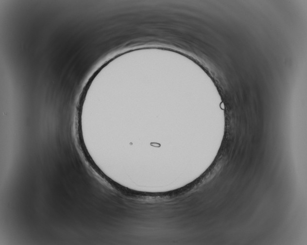 X0000086731518200705111604