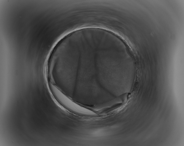 X0000086731519200705111604