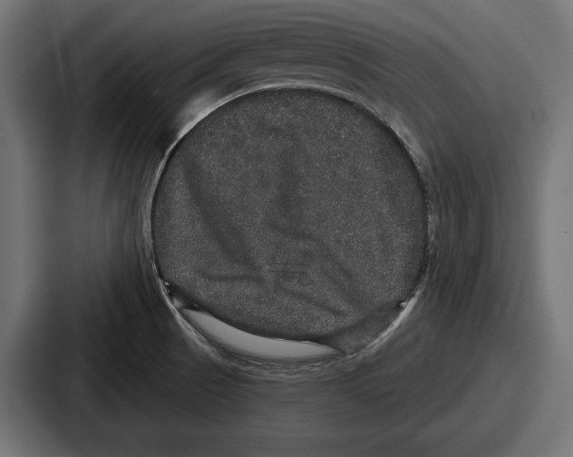 X0000086731521200705111605