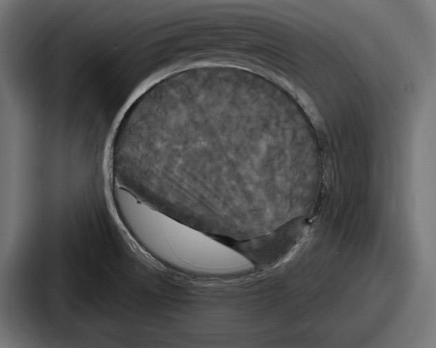 X0000086731522200705111605
