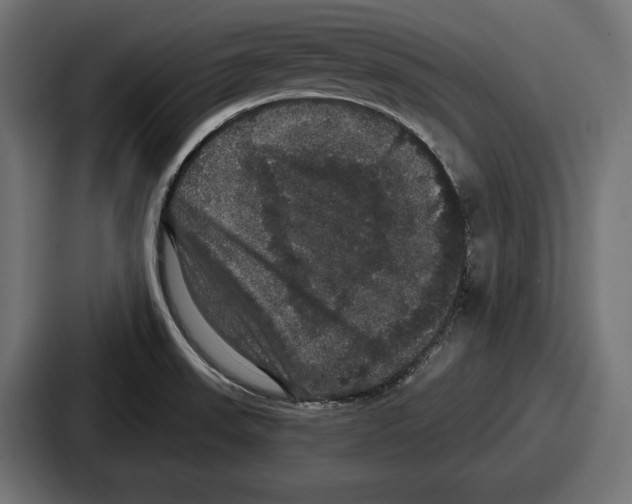 X0000086731523200705111605