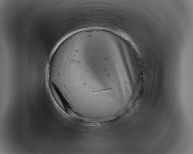 X0000086731524200705111605