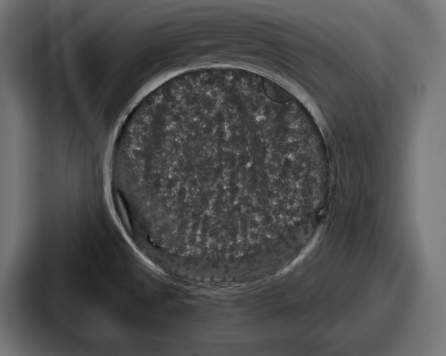 X0000086731525200705111605