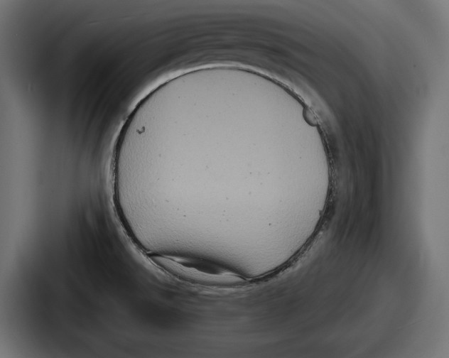 X0000086731526200705111605