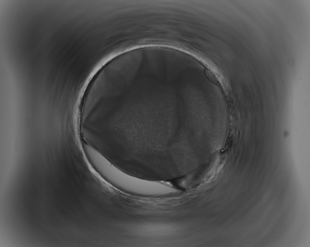X0000086731527200705111605