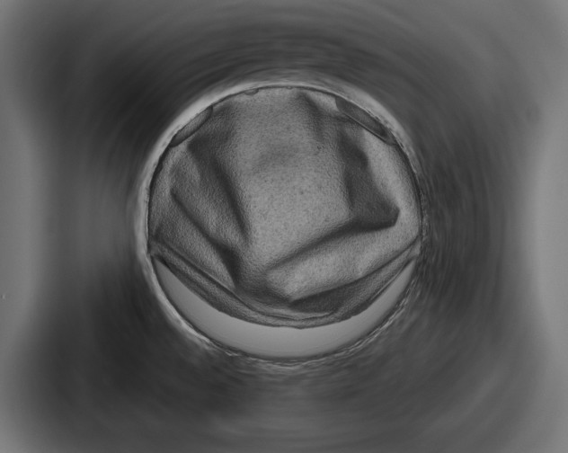 X0000086731528200705111605
