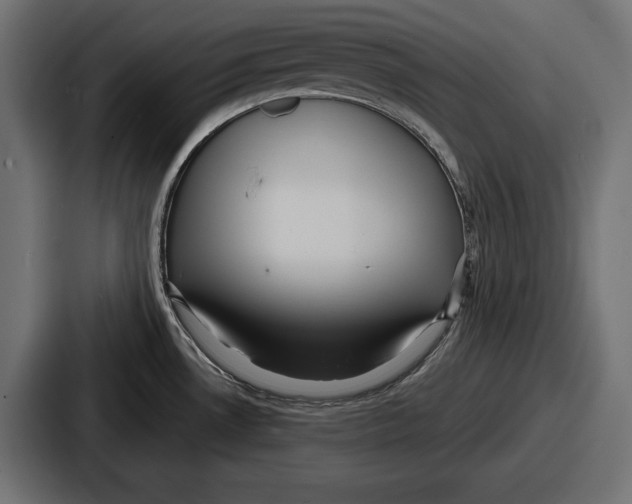 X0000086731530200705111605
