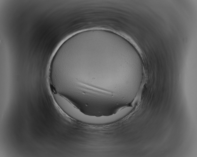 X0000086731532200705111605