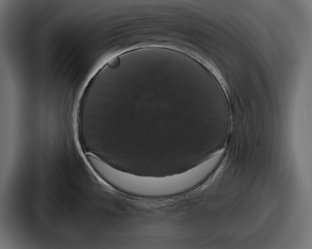 X0000086731533200705111605