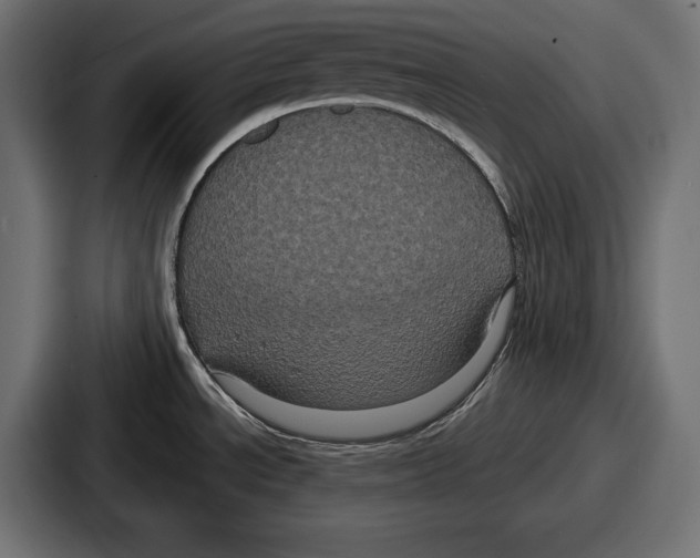 X0000086731534200705111605