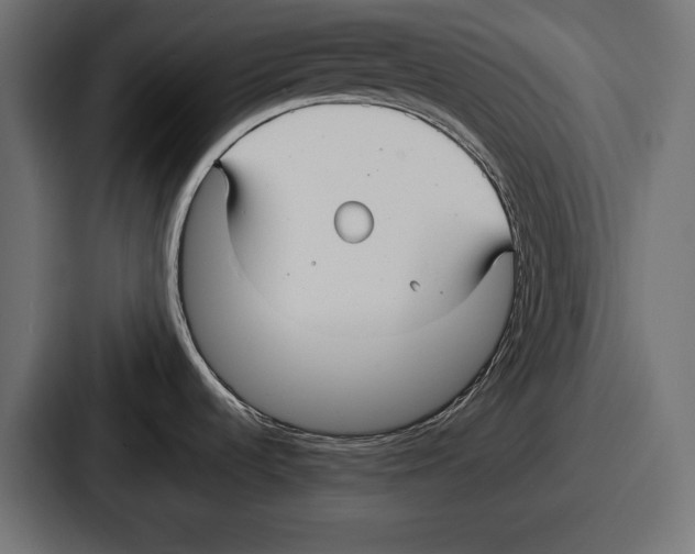X0000086731536200705111605